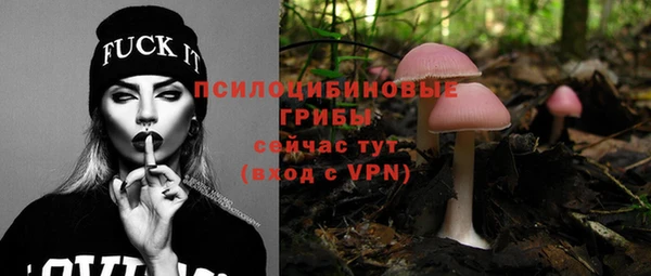 хмурый Ступино